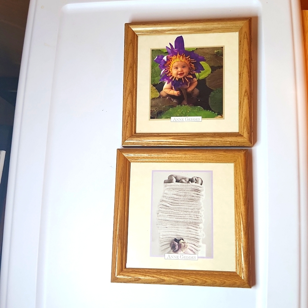 Anne Geddes Waterlily and Baby on Nappies 7 by 7 photos in frame